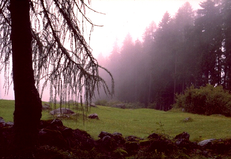 Canon A1