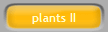 plants II